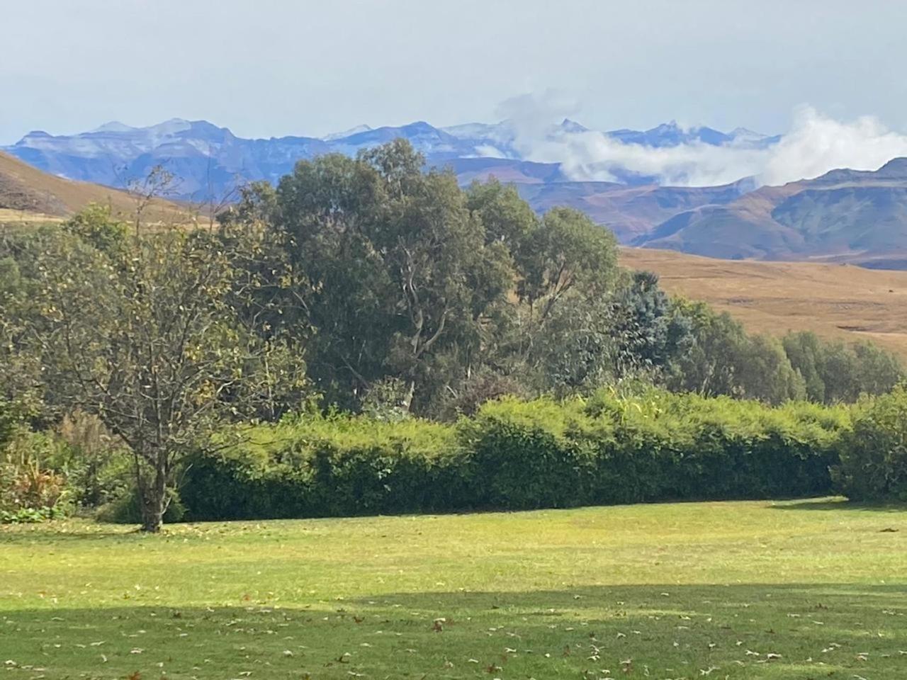 Pear Tree Cottage-Underberg Εξωτερικό φωτογραφία
