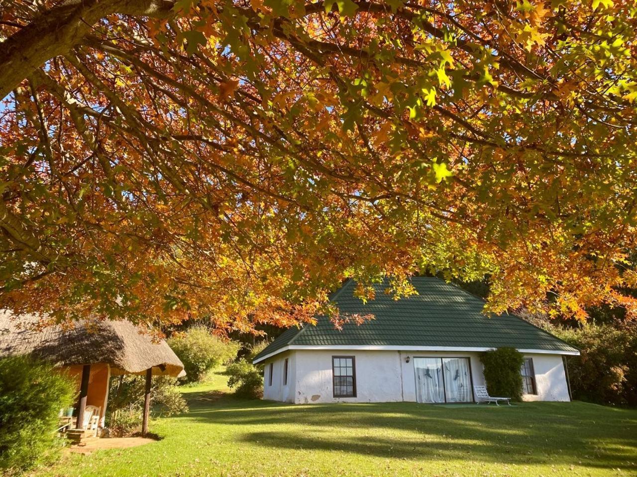 Pear Tree Cottage-Underberg Εξωτερικό φωτογραφία