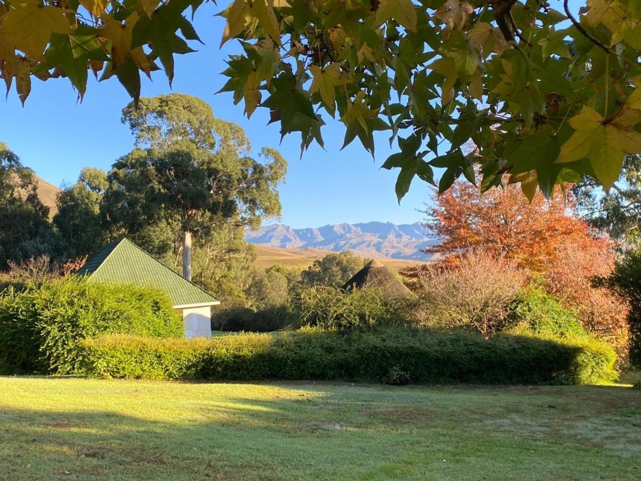 Pear Tree Cottage-Underberg Εξωτερικό φωτογραφία
