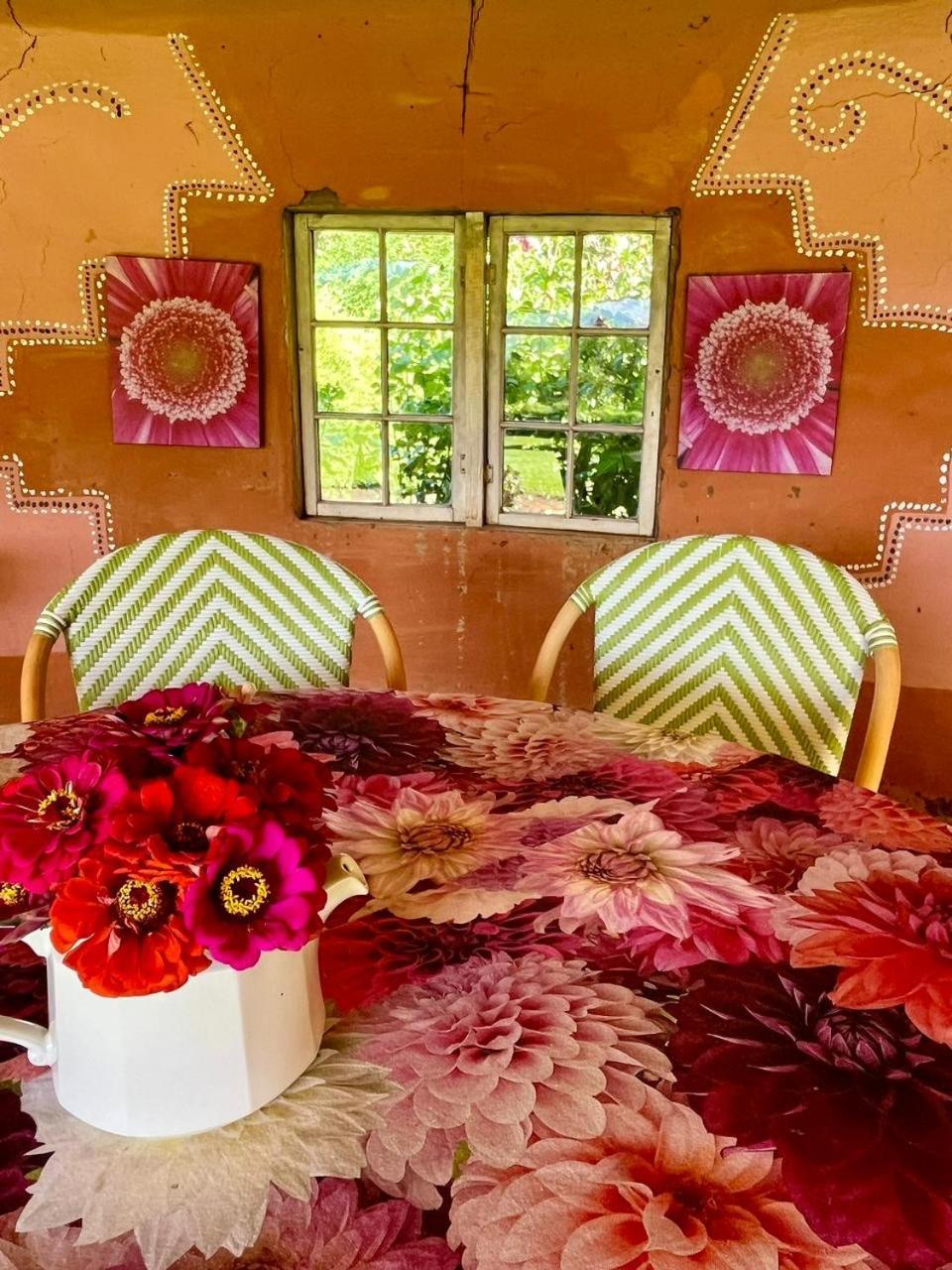 Pear Tree Cottage-Underberg Εξωτερικό φωτογραφία